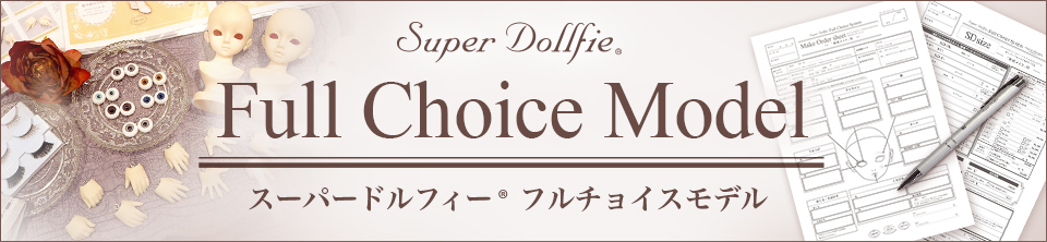 Full Choice Model