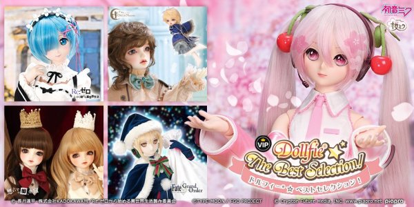 【ドルフィーオンラインストア１周年】SD・DDベストセレクション抽選販売