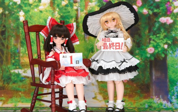 【明日最終日！】「東方Project×DD」お申込み締め切りカウントダウン！