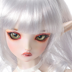 Dollfie ICON 2020 COLOR