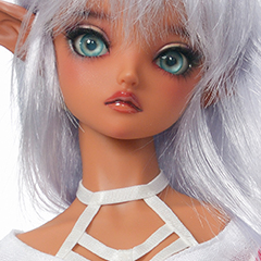 Dollfie ICON 2020 COLOR