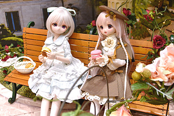 Dolls Party After Report