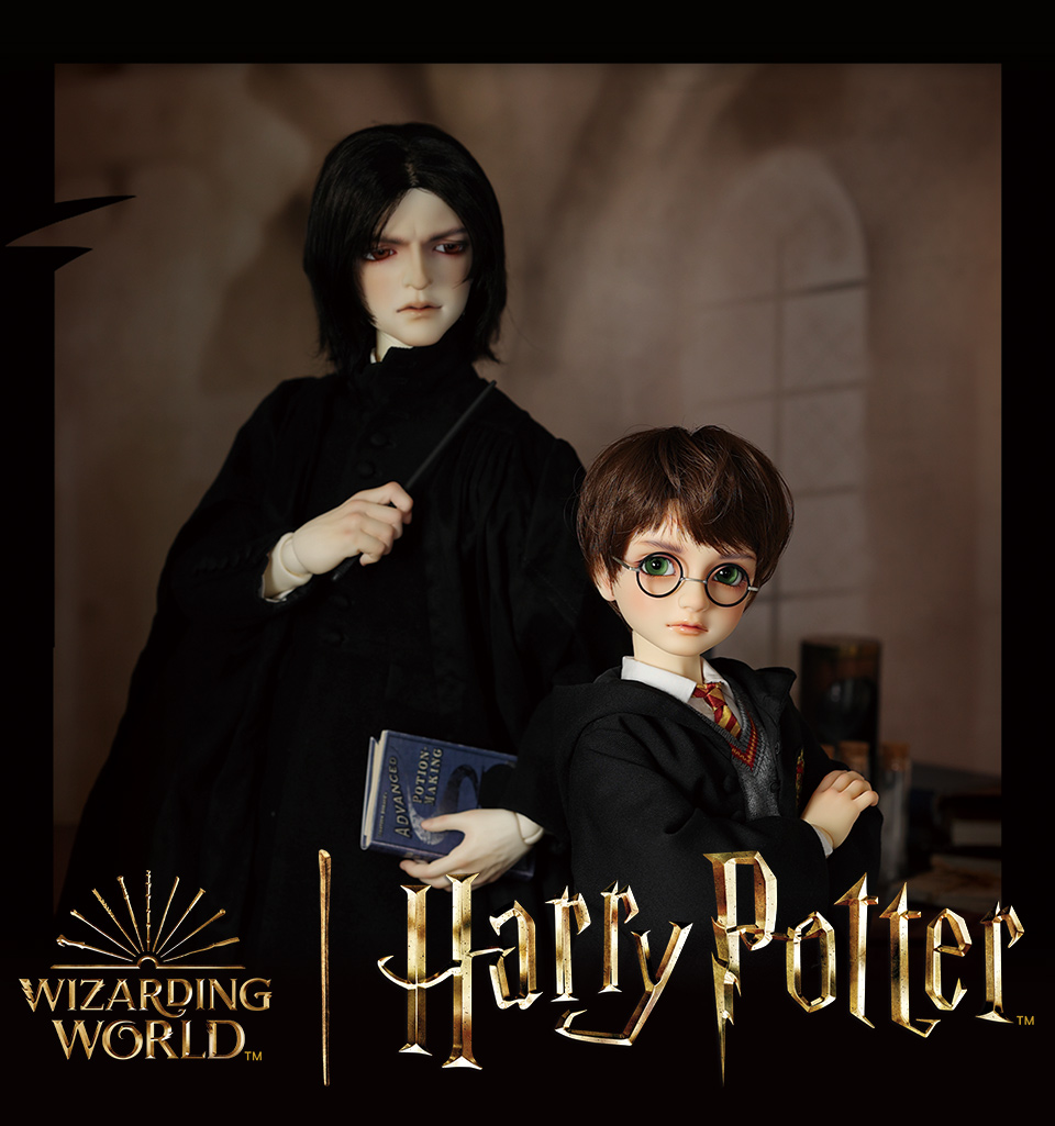 Super Dollfie Wizarding World Collection