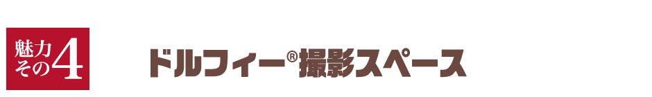 【魅力その4】ドルフィー撮影スペース