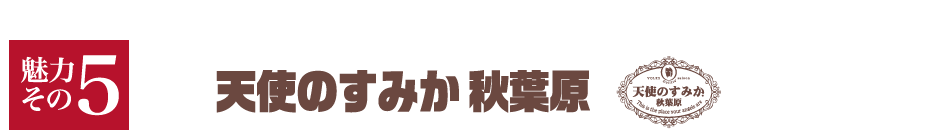 【魅力その5】天使のすみか 秋葉原