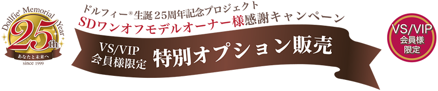 SDワンオフモデル オーナー様感謝キャンペーン VS/VIP会員様限定 特別オプション販売